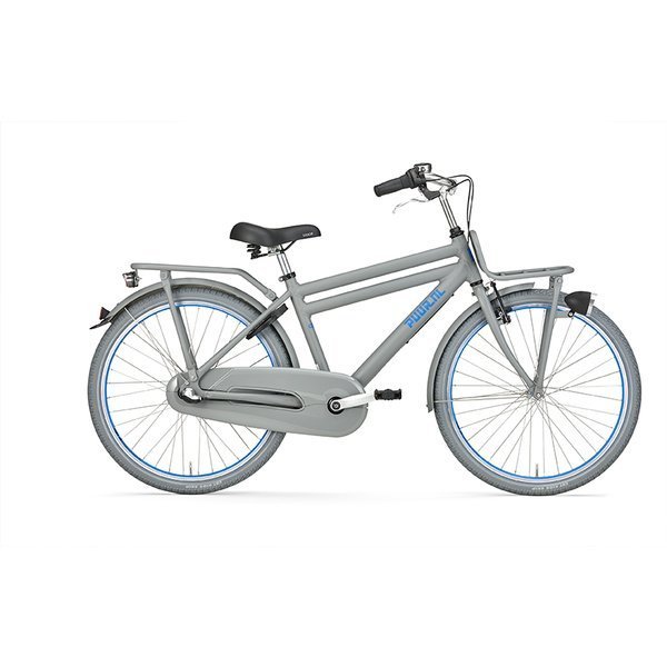 Gazelle Puur_NL Boys Heren just grey mat 40cm 2019